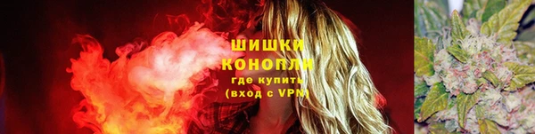 гидра Белокуриха