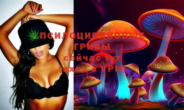 гидра Белокуриха