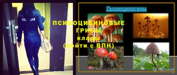 гидра Белокуриха