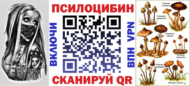 Галлюциногенные грибы MAGIC MUSHROOMS  хочу   Мурманск 